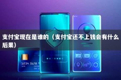 支付宝现在是谁的（支付宝还不上钱会有什么后果）