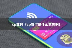 cp支付（cp支付是什么意思啊）
