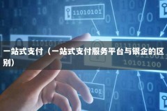 一站式支付（一站式支付服务平台与银企的区别）
