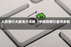 人民银行大额支付系统（中国微银行查询余额）