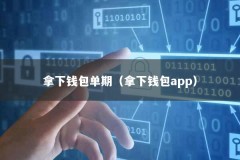 拿下钱包单期（拿下钱包app）
