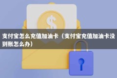 支付宝怎么充值加油卡（支付宝充值加油卡没到账怎么办）