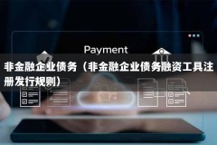 非金融企业债务（非金融企业债务融资工具注册发行规则）