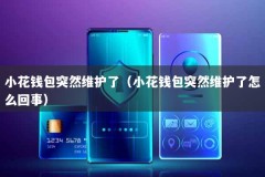 小花钱包突然维护了（小花钱包突然维护了怎么回事）