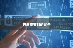 包含拳支付的词条