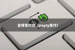 全球支付白（paply支付）