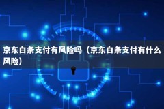 京东白条支付有风险吗（京东白条支付有什么风险）