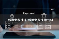 飞贷金融科技（飞贷金融科技是什么）