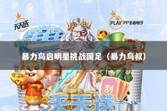 暴力鸟启明星挑战国足（暴力鸟叔）