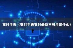 支付手表（支付手表支付最新不可用是什么）