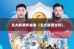 五大联赛杯由来（五大联赛全称）