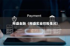 邦盛金融（邦盛实业控股集团）