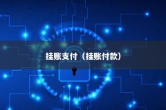 挂账支付（挂账付款）