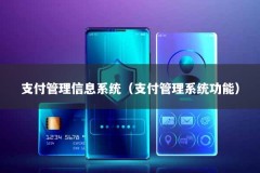 支付管理信息系统（支付管理系统功能）