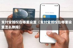 支付宝授权在哪里设置（支付宝授权在哪里设置怎么删除）