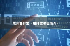 陈亮支付宝（支付宝陈亮简介）