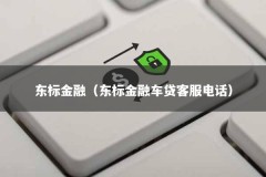东标金融（东标金融车贷客服电话）
