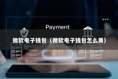 微软电子钱包（微软电子钱包怎么用）