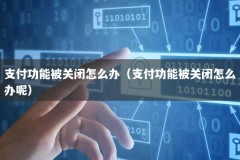支付功能被关闭怎么办（支付功能被关闭怎么办呢）