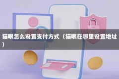 猫眼怎么设置支付方式（猫眼在哪里设置地址）