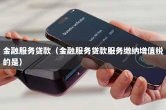 金融服务贷款（金融服务贷款服务缴纳增值税的是）