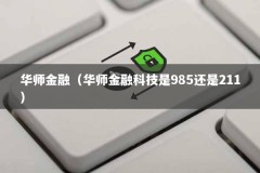华师金融（华师金融科技是985还是211）