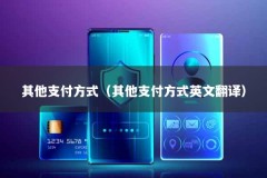其他支付方式（其他支付方式英文翻译）
