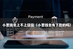 小葱钱包上不上征信（小葱钱包有下款的吗）