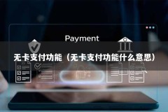 无卡支付功能（无卡支付功能什么意思）