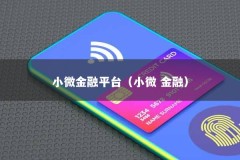 小微金融平台（小微 金融）
