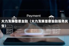 大力发展普惠金融（大力发展普惠金融服务民生）