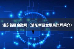 浦东新区金融局（浦东新区金融局张辉简介）