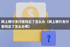 网上银行支付密码忘了怎么办（网上银行支付密码忘了怎么办呢）