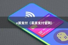 v派支付（易派支付官网）