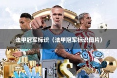 法甲冠军标识（法甲冠军标识图片）