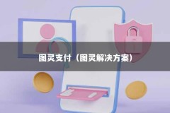 图灵支付（图灵解决方案）