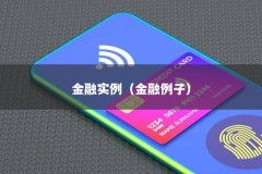 金融实例（金融例子）
