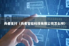 兵者支付（兵者智能科技有限公司怎么样）