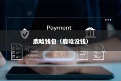 鹿晗钱包（鹿晗没钱）