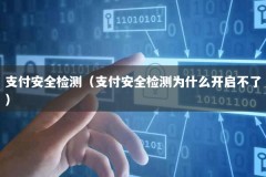 支付安全检测（支付安全检测为什么开启不了）
