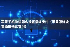 苹果手机微信怎么设置指纹支付（苹果怎样设置微信指纹支付）