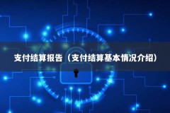 支付结算报告（支付结算基本情况介绍）