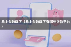 马上金融旗下（马上金融旗下有哪些贷款平台）