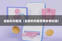 金融机构服务（金融机构服务费收费标准）
