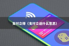 支付立得（支付立返什么意思）