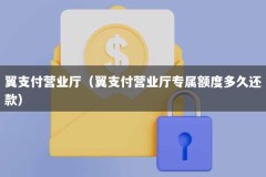 翼支付营业厅（翼支付营业厅专属额度多久还款）